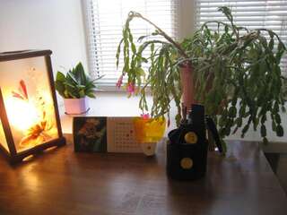 Хостелы Hostel Smile-Dnepr Днепр Кровать в общем номере для мужчин-4