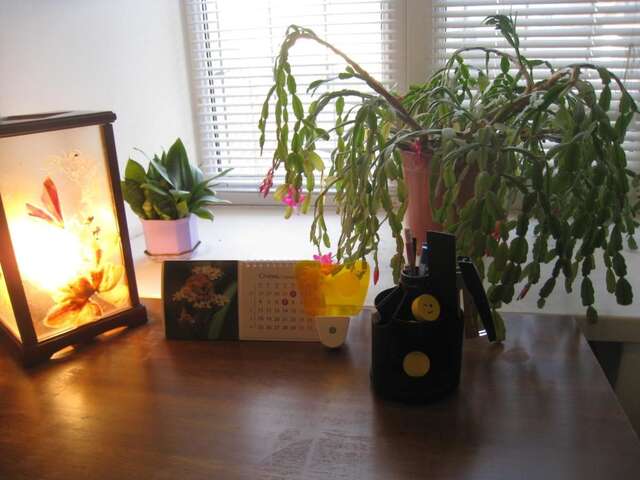 Хостелы Hostel Smile-Dnepr Днепр-33